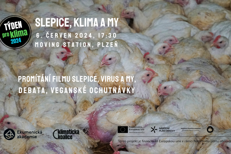 Slepice, klima a my (Plzeň)